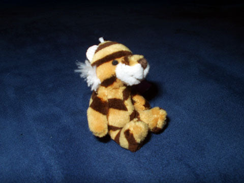"SAF_021-3"