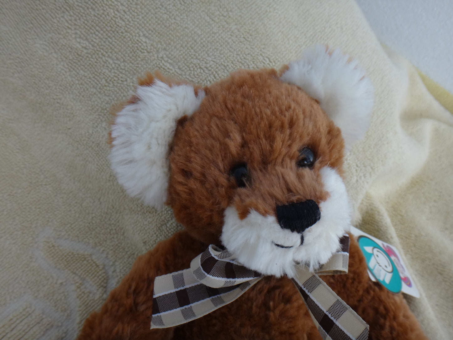 Knautsch-Bär in braun
