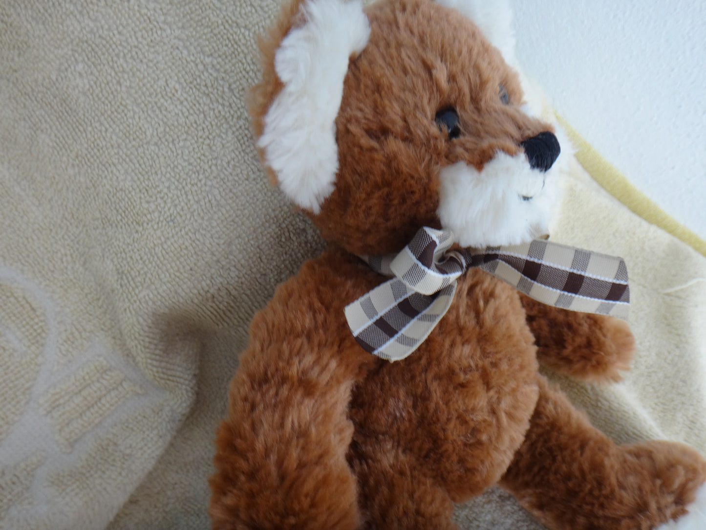 Knautsch-Bär in braun