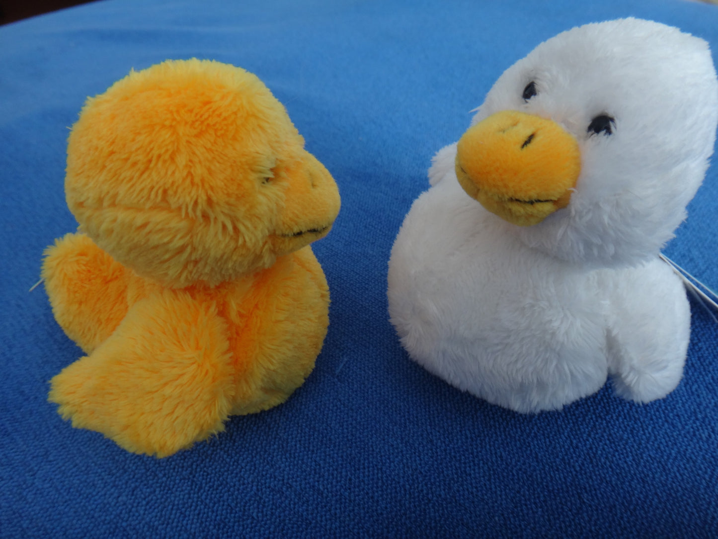 Küken Chicky gelb und weiß