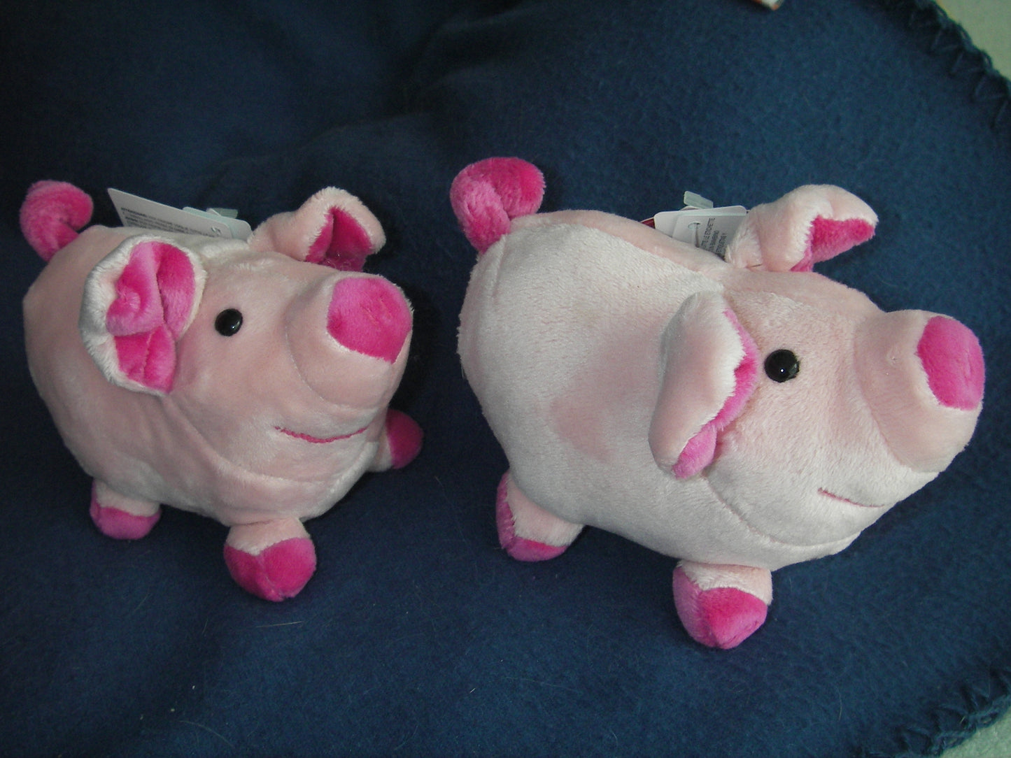 Schweinchen Loulou in rosa-pink