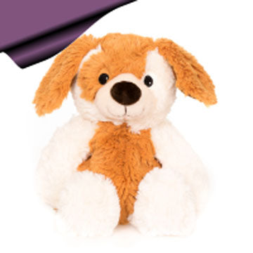 SON_064-6